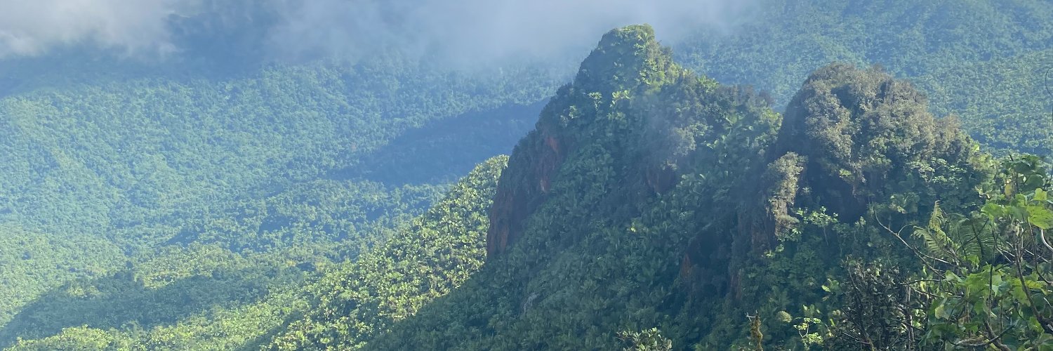 Gabriela Cecilia Martínez banner