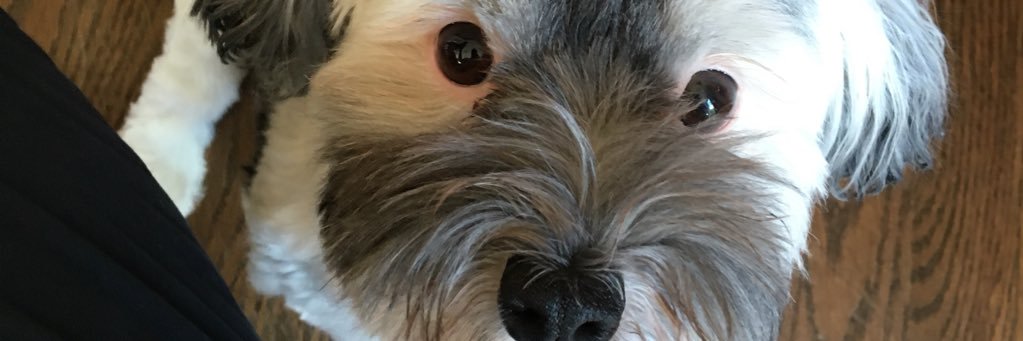 pbenso's profile banner image