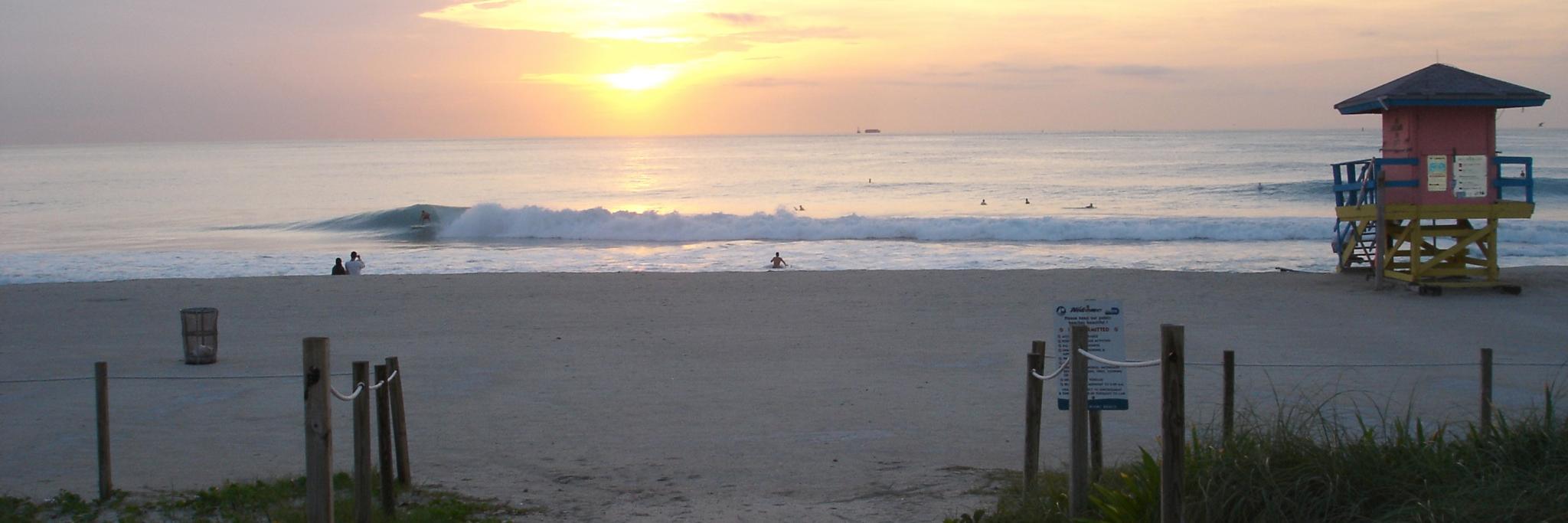 Tim P Brigham banner