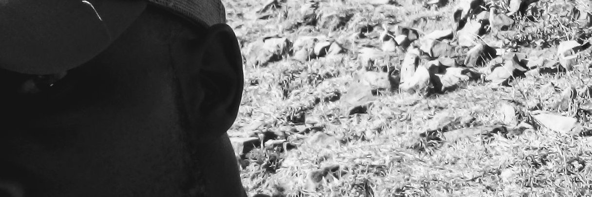 seam_wave's profile banner image