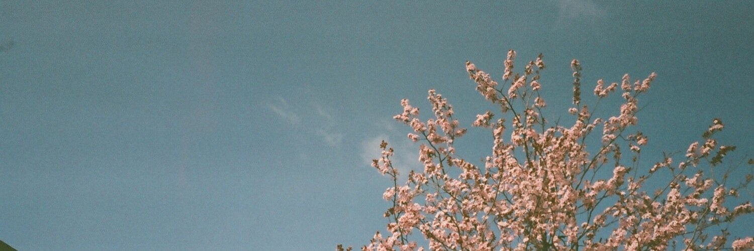 Catarina N. Jessen banner