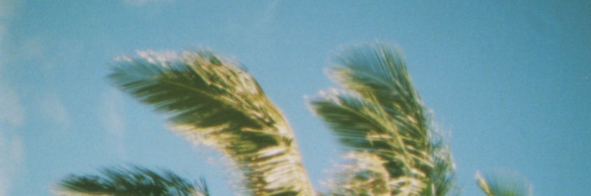 gabi banner