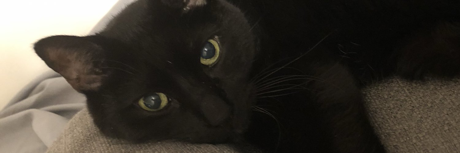 RickiStephens's profile banner image