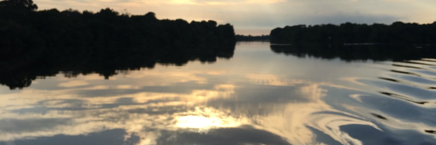 Arthur Toscan du Plantier banner