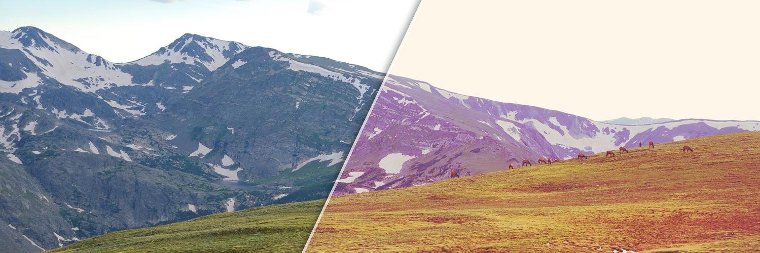 MyPsAction's profile banner image