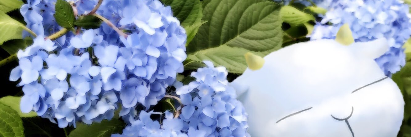 honami_hinata's profile banner image