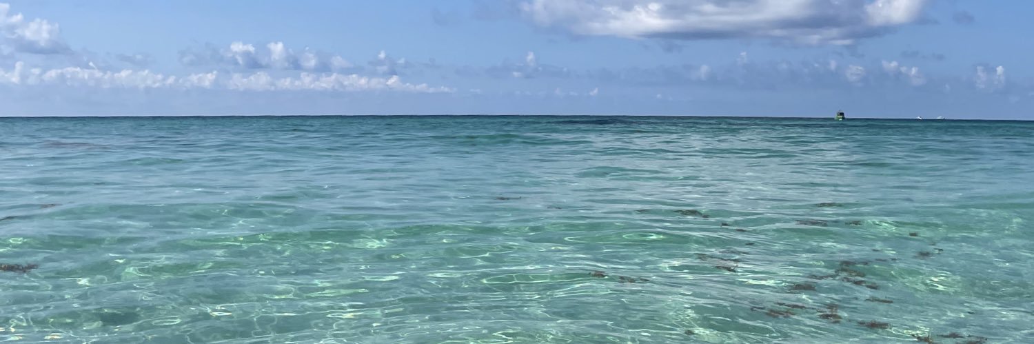 Anja banner