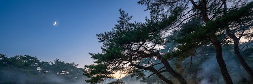 Buddha cinematic banner