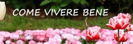 comevivere's profile banner image