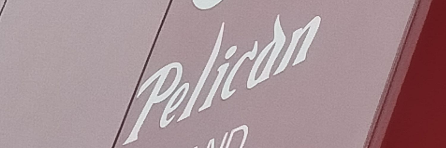 panapane's profile banner image