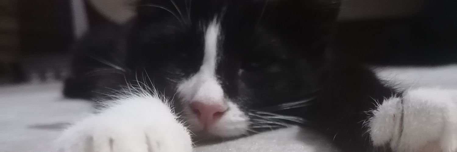 senerserapp's profile banner image