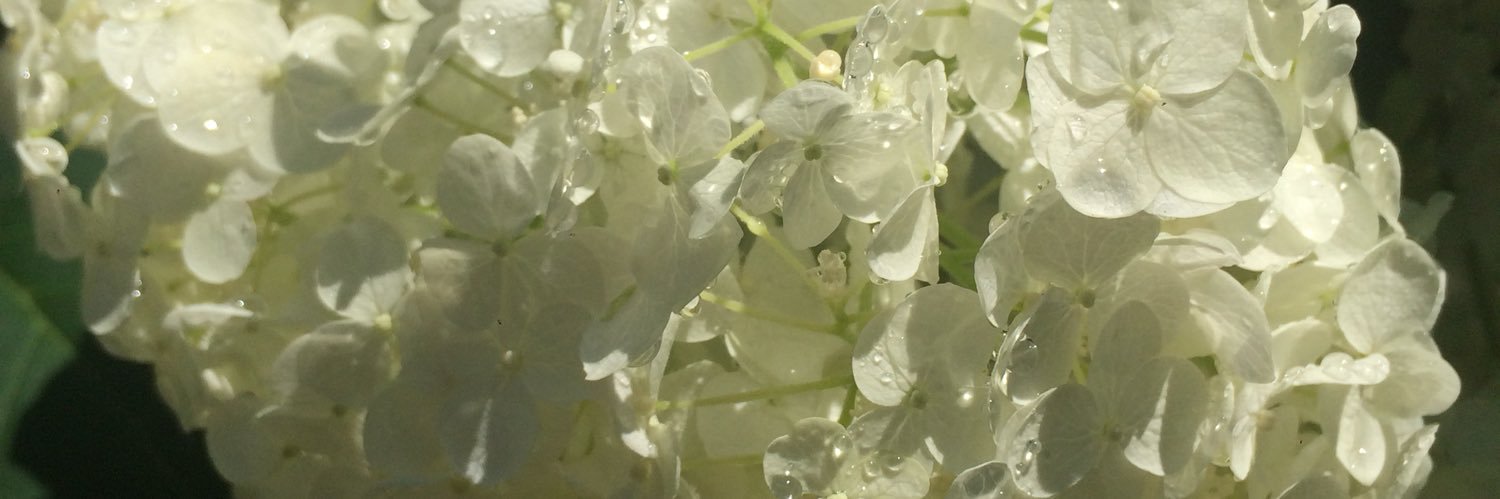 0460knmt's profile banner image