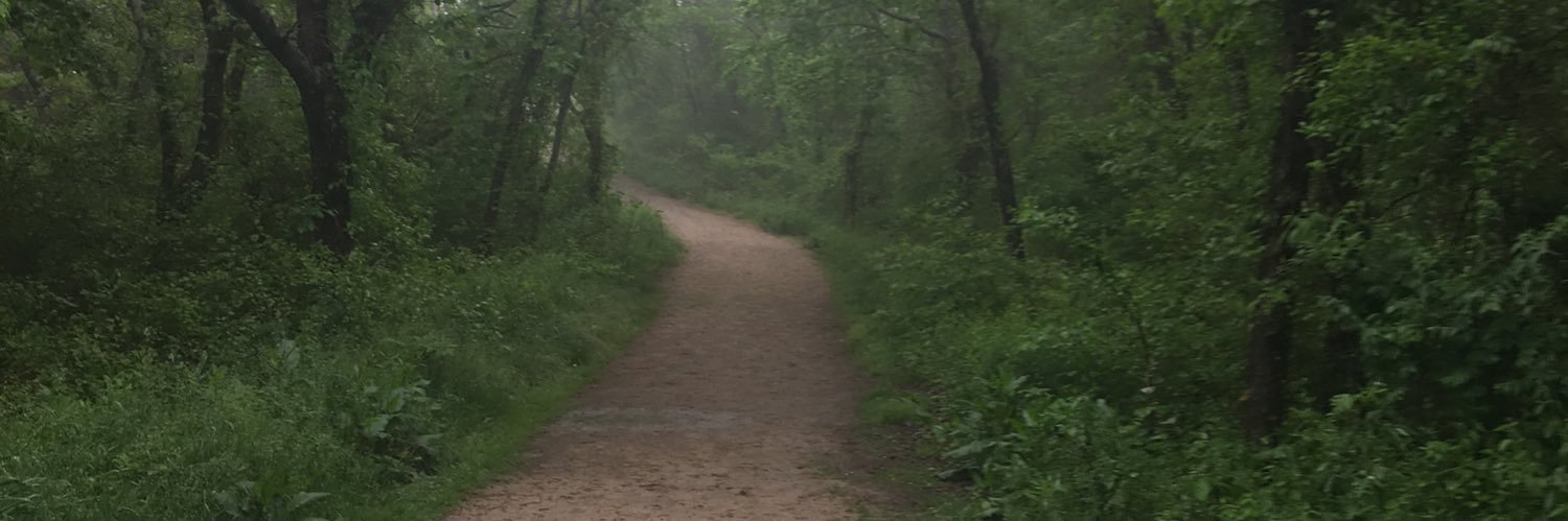 RachelBaz's profile banner image