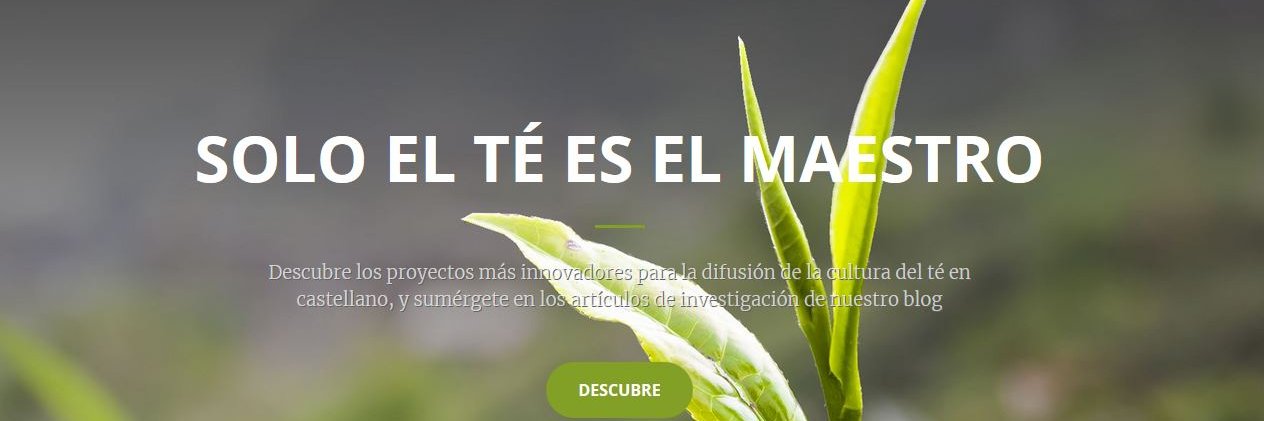 escuela_te's profile banner image