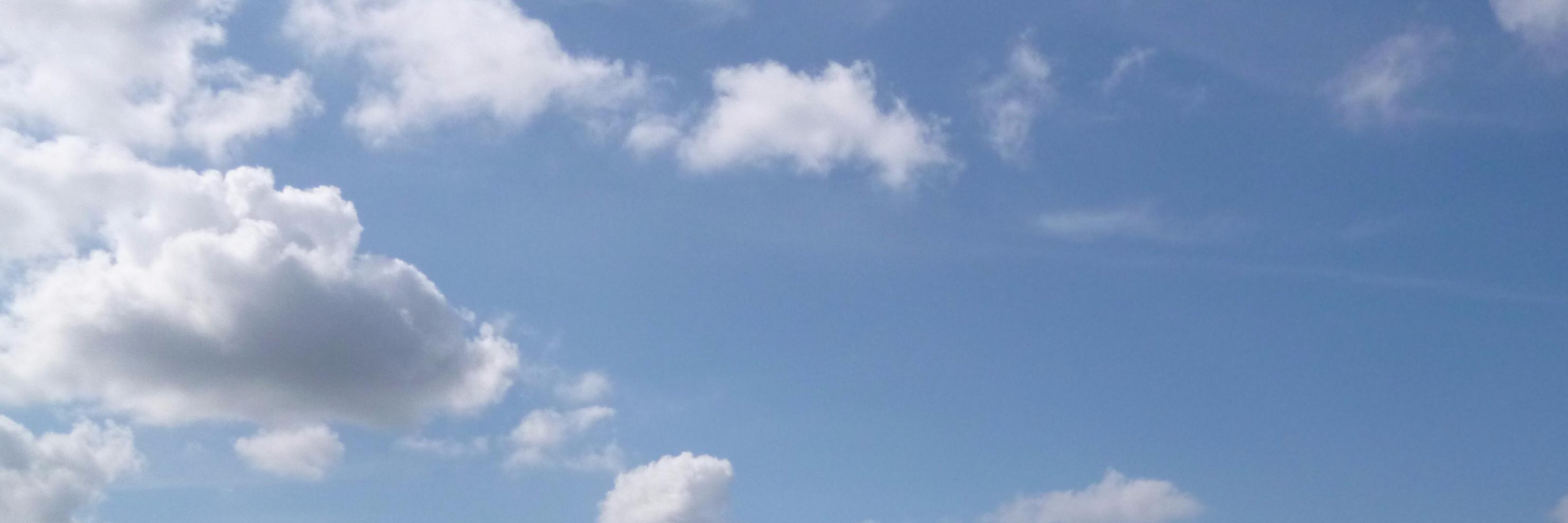 balifant's profile banner image