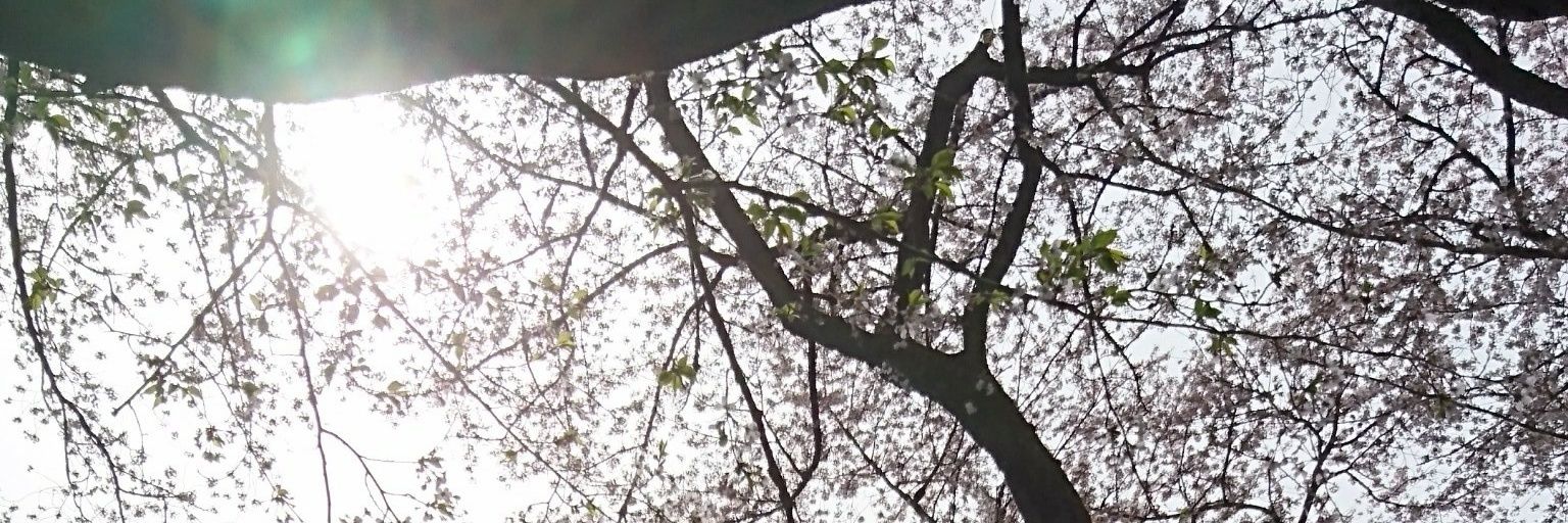 zooooahhh's profile banner image