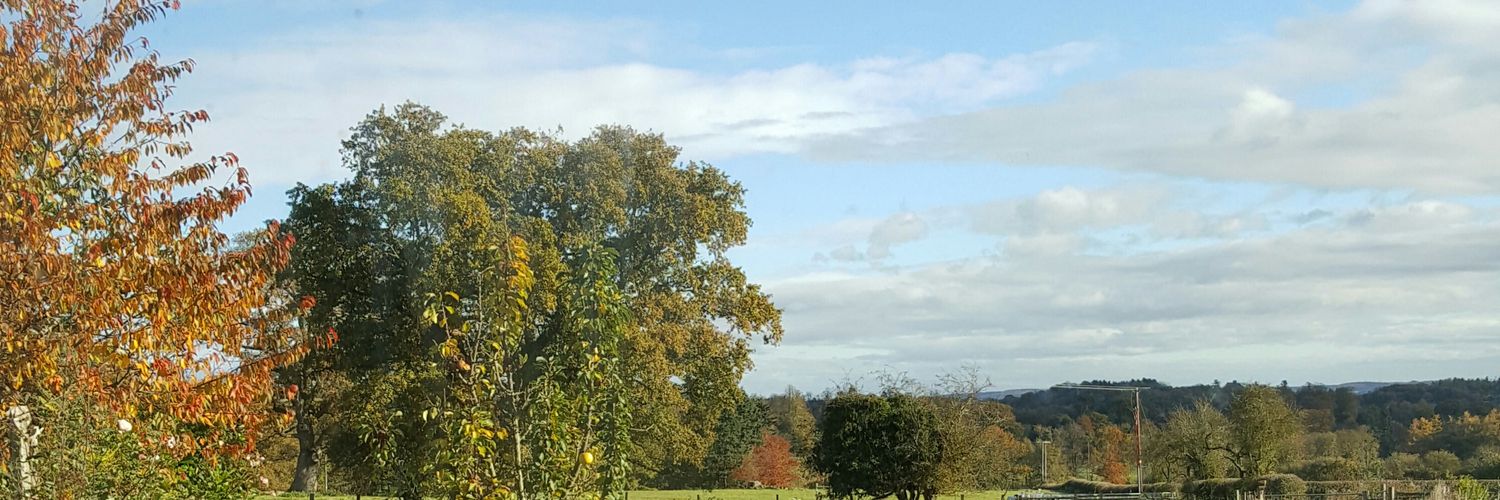 Hannah Davidson banner