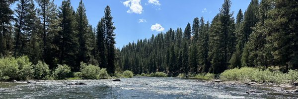 dimitrivorbe Profile Banner