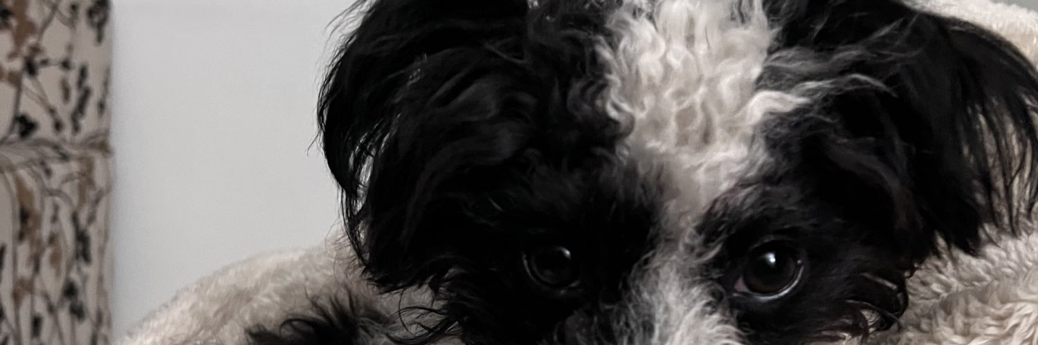 miillygonzalez's profile banner image