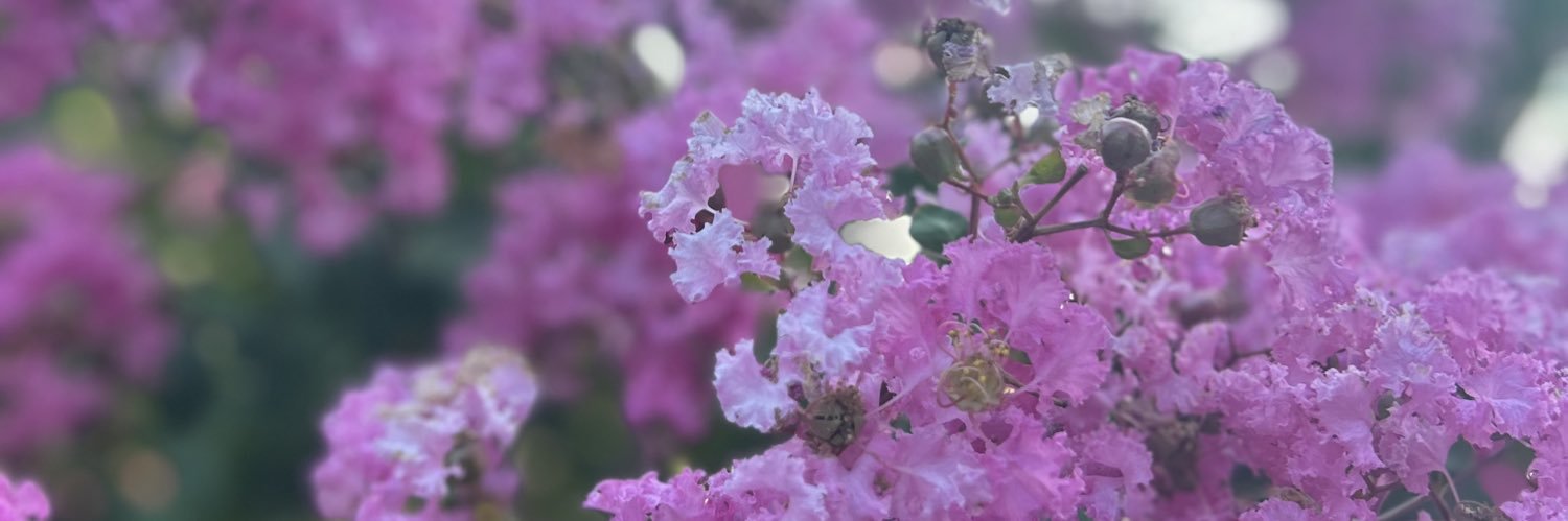 ssdkmbk's profile banner image