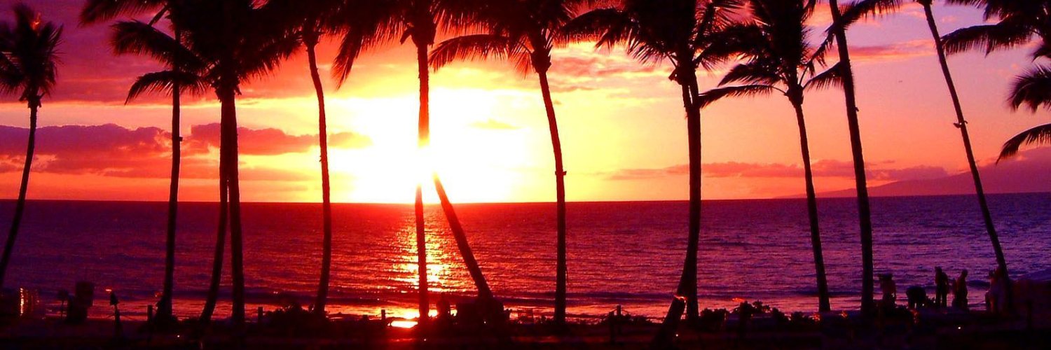 rumrunner311's profile banner image