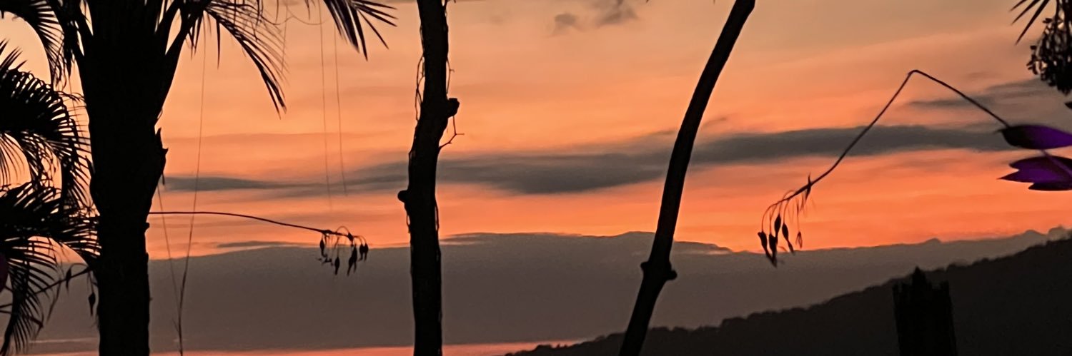 JulieColin's profile banner image