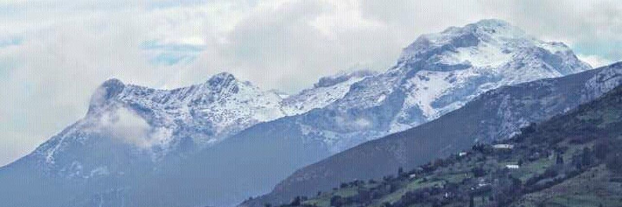 tanomy_'s profile banner image