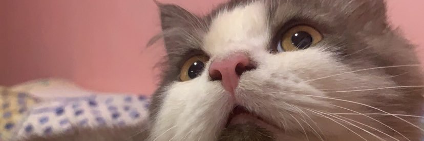 genjjj_'s profile banner image