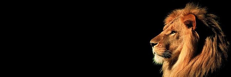 Yowbiii's profile banner image