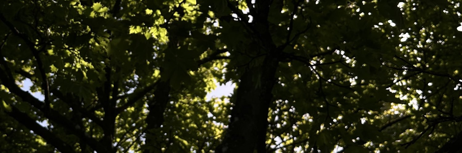 atu0x's profile banner image