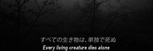melt_projection's profile banner image