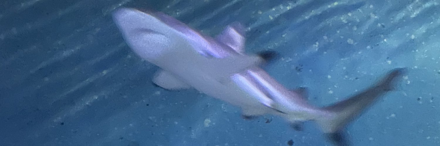 a_chasodesu's profile banner image
