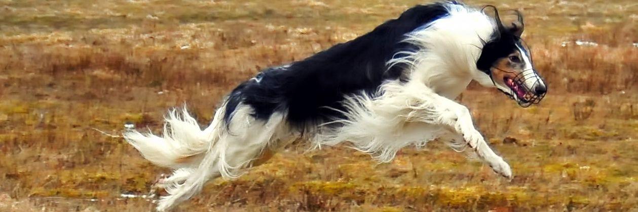 AnnetteNorell's profile banner image