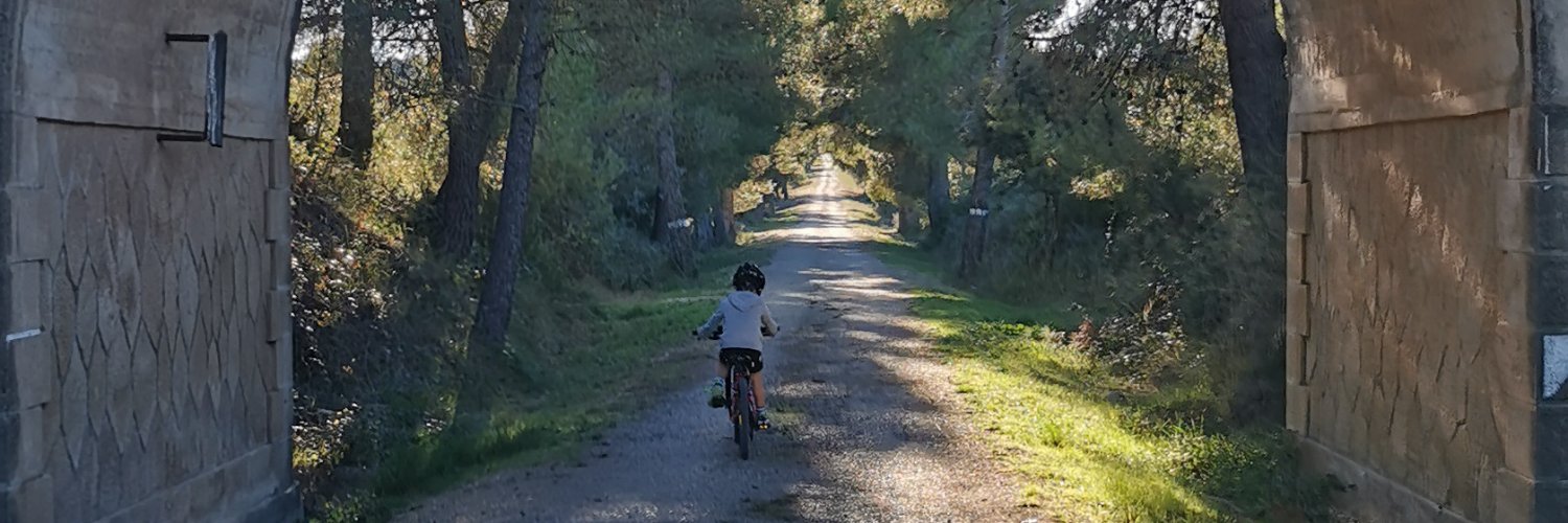 Xabier Muriel banner