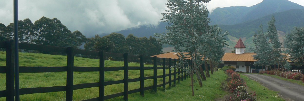 a_monterog's profile banner image