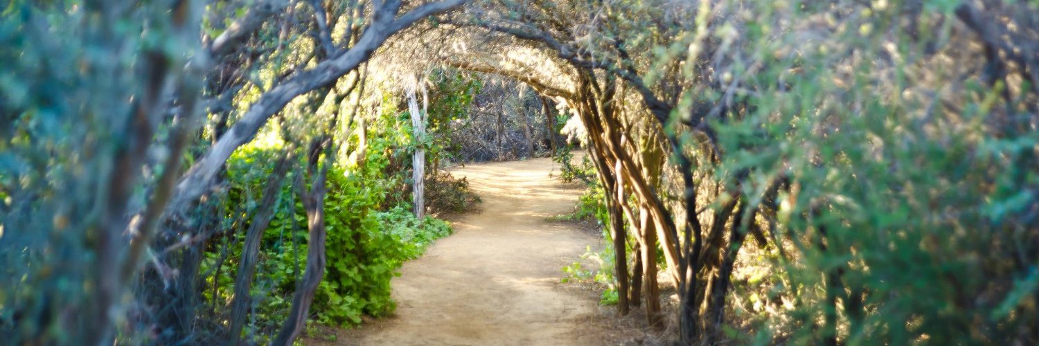 Vince Smith (vincesmith.eth) banner