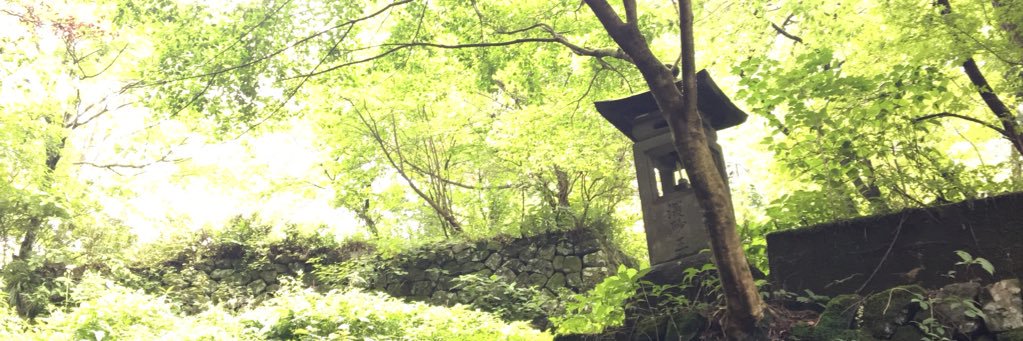 AbateLu's profile banner image