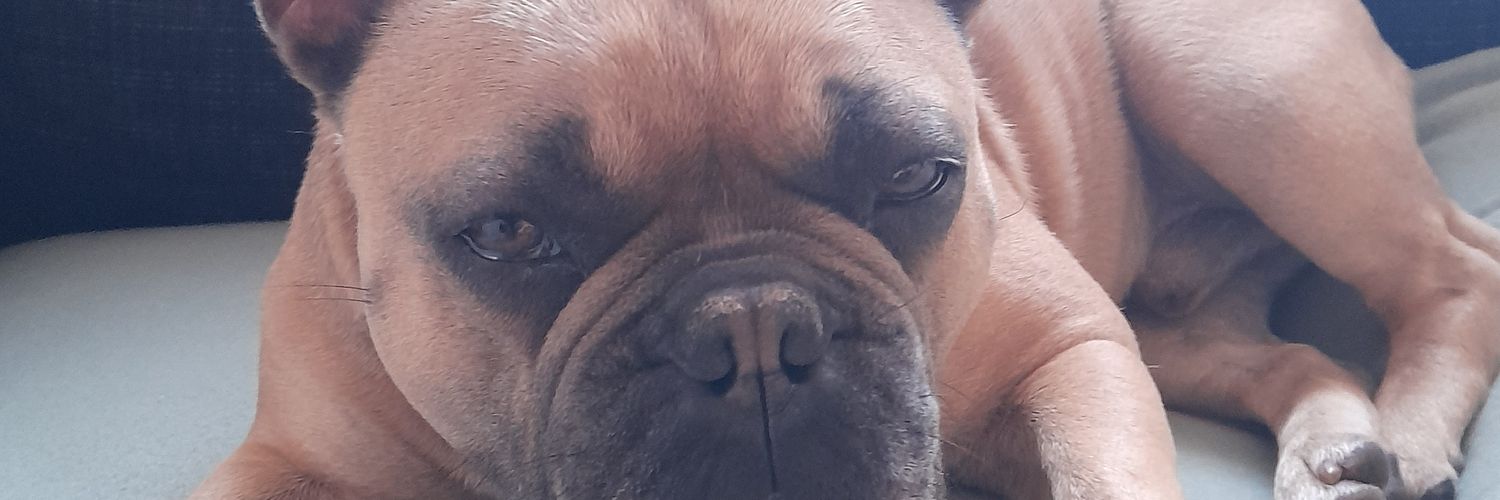 Th3GT's profile banner image