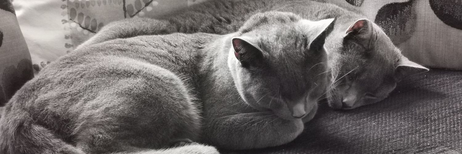 Manda14o475's profile banner image