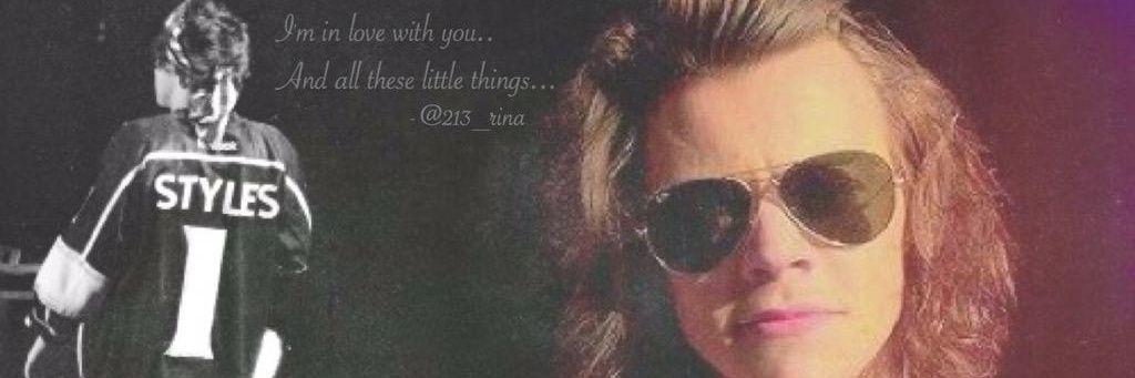 213_rina's profile banner image