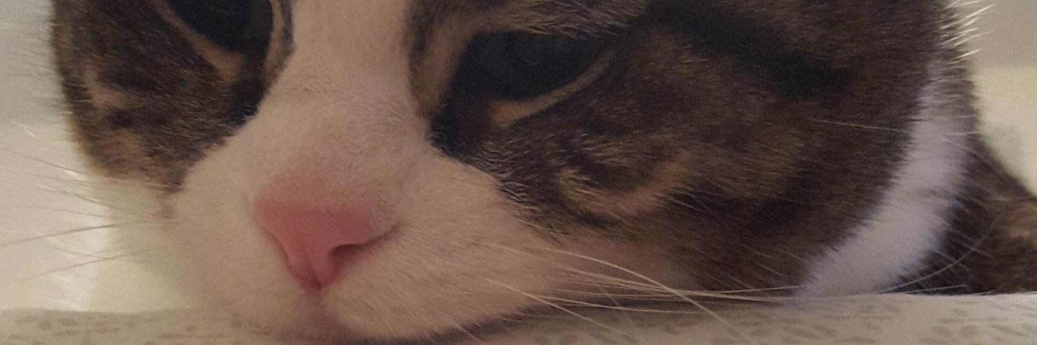 jdotjustjdot's profile banner image