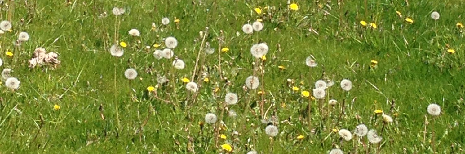 oma6581's profile banner image