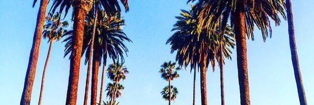 FAN_OF_FRENCHY's profile banner image