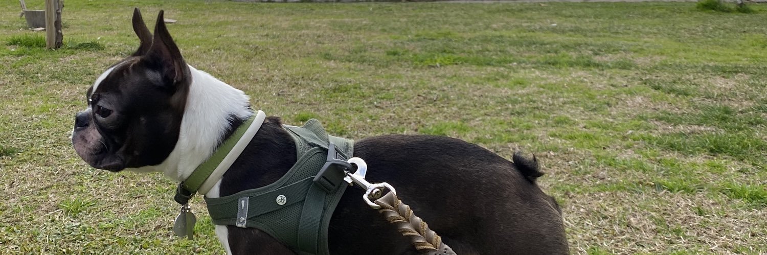 𝚂𝚝𝚛𝚊𝚝𝚘𝚜 𝙱𝚊𝚌𝚊𝚕𝚒𝚜 banner