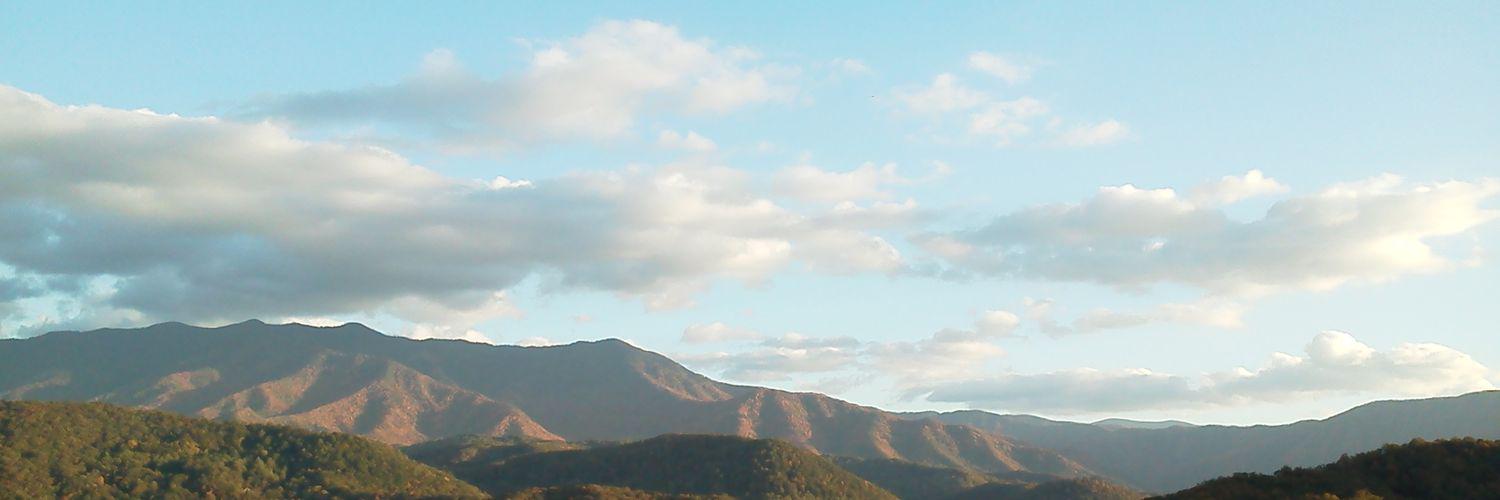 Grammyttb's profile banner image