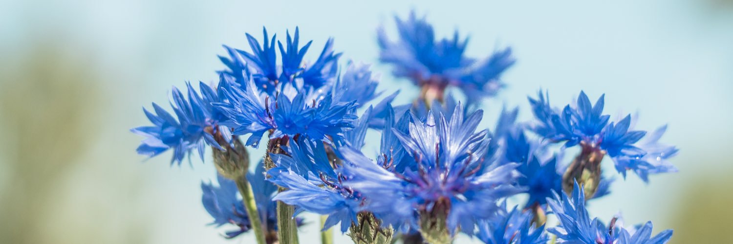 Liberalerna i VGR banner