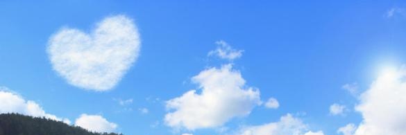 Noinoinoi🌸🦋 banner