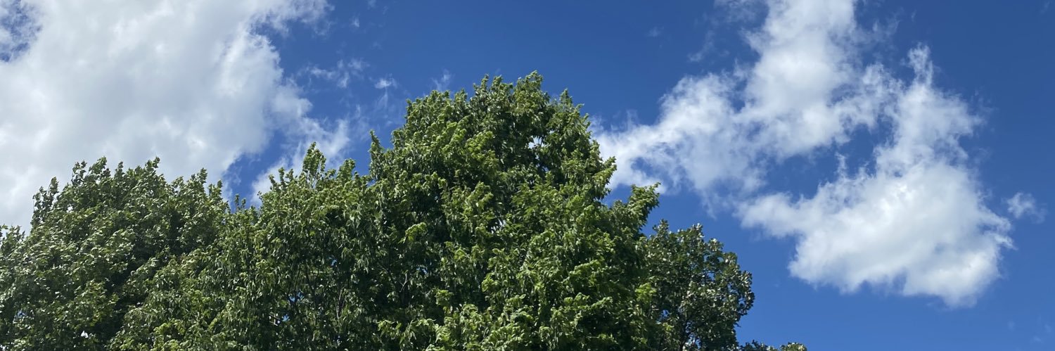 dizzygopher's profile banner image