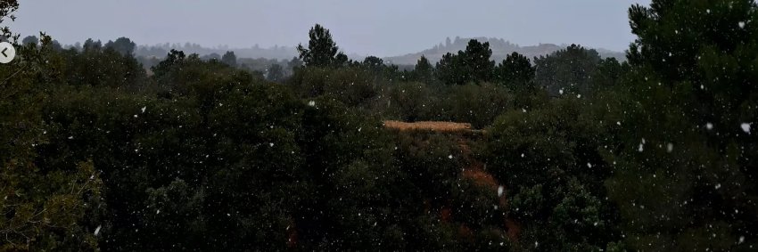 ❄︎ 𝕽𝖊𝖞 𝐒𝖍𝖎𝖗𝖚 ❄︎ banner