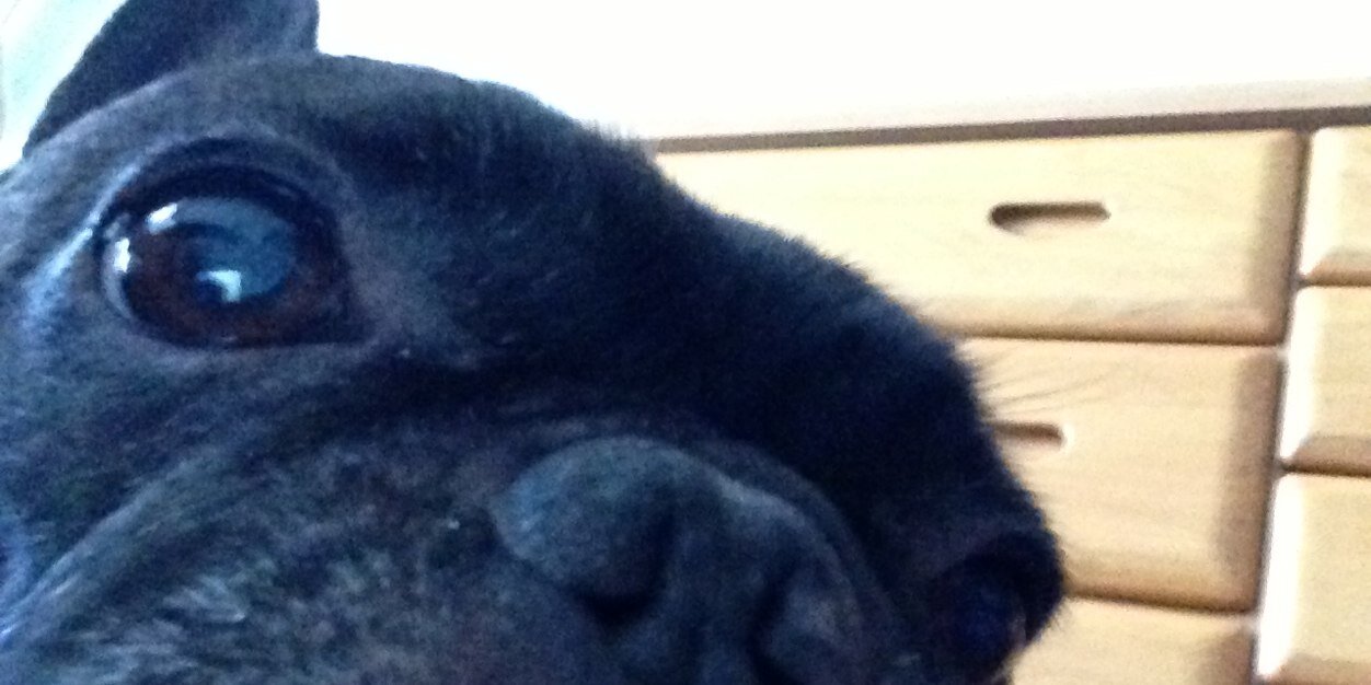 maaaooooji's profile banner image